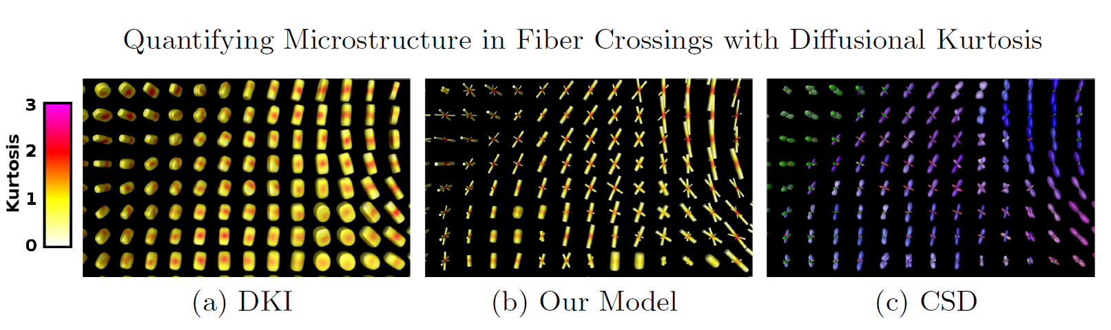 Figure quantifying DKI MICCAI 2015