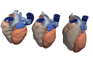 Full Heart PCA model (all phases)